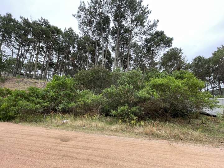 Terreno en venta en El Pujamen, Maldonado