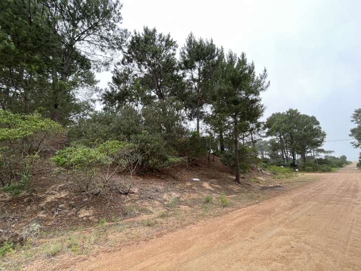 Terreno en venta en Avenida La Mayor, Maldonado