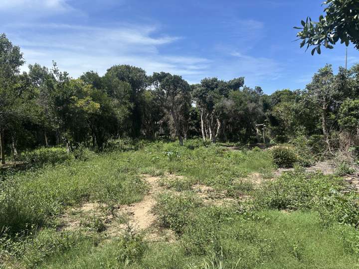 Terreno en venta en El Criticón, Maldonado