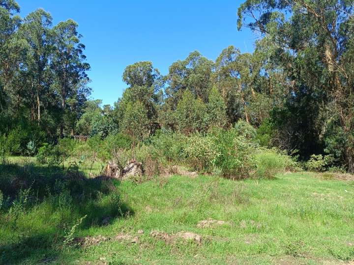 Terreno en venta en Camino sin salida, Maldonado