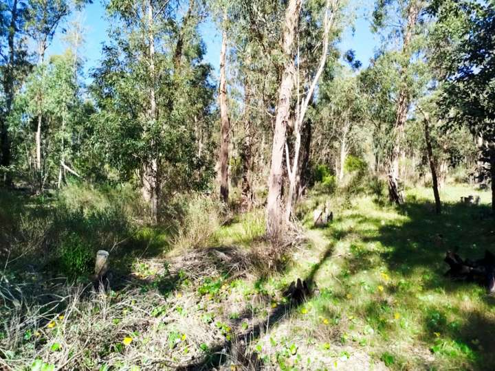 Terreno en venta en Cabo de Amarre, Rocha