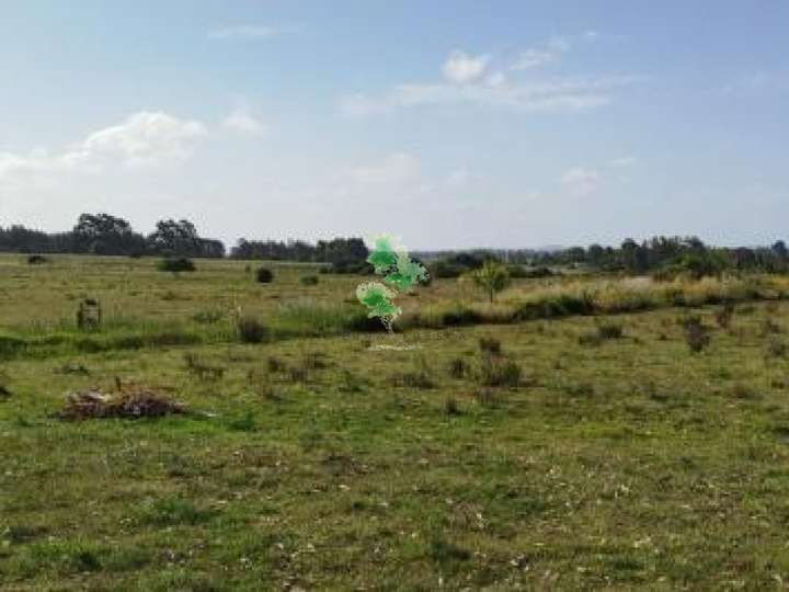 Granja en venta en Rambla General Artigas, Punta Del Este