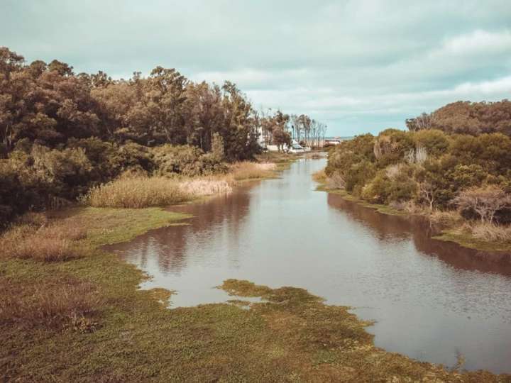 Granja en venta en Rambla General Artigas, Punta Del Este