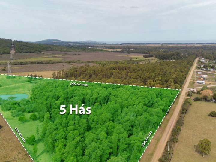 Granja en venta en Rambla General Artigas, Punta Del Este