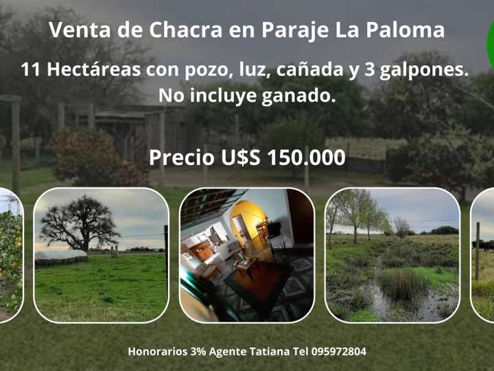 Granja en venta en Ruta 11 José Batlle y Ordóñez, Canelones