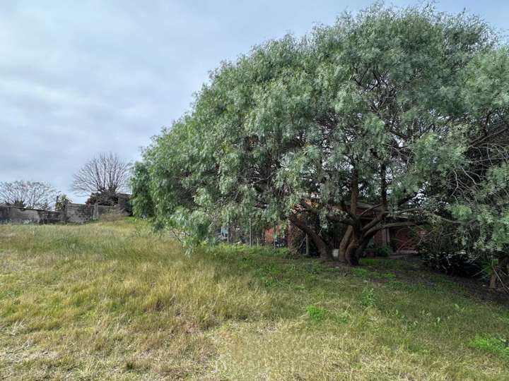 Terreno en venta en Punta Del Este