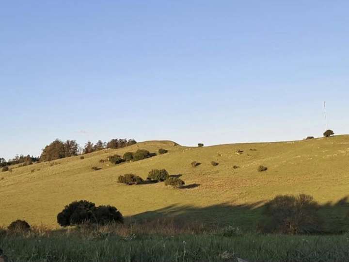 Granja en venta en Maldonado