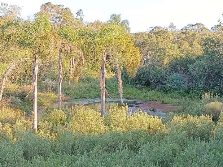 Granja en venta en Maldonado