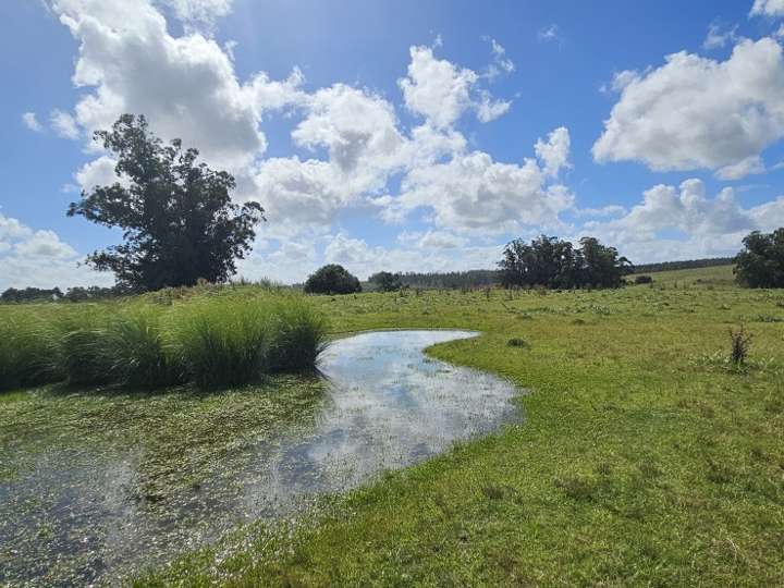 Granja en venta en Maldonado