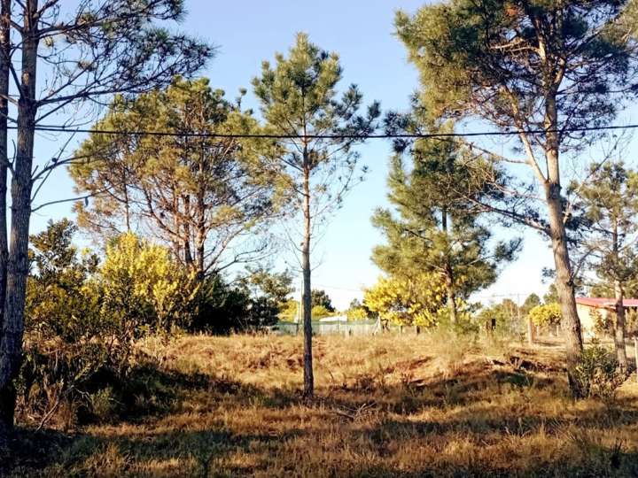 Terreno en venta en Acesso a Ruta 9 Alternativa, Rocha