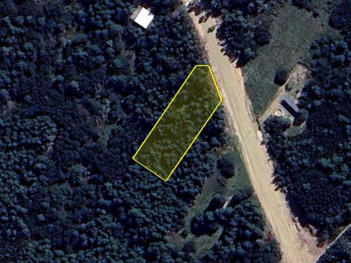 Terreno en venta en Avenida Montevideo, Maldonado