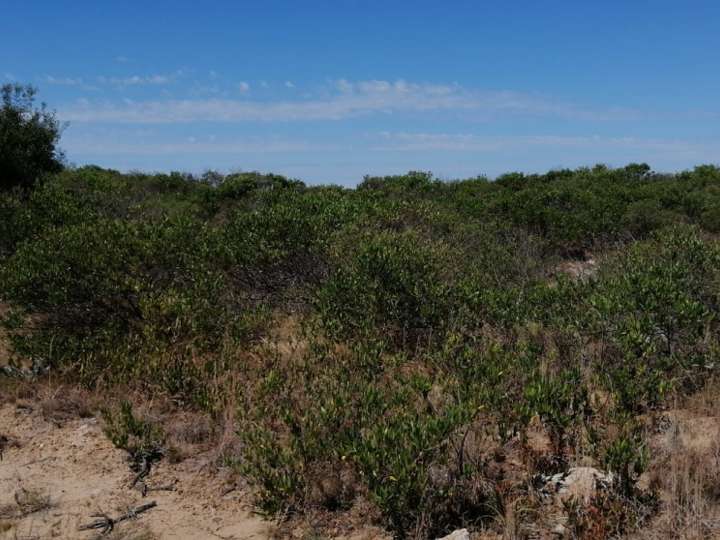 Terreno en venta en El Aparejo, Maldonado