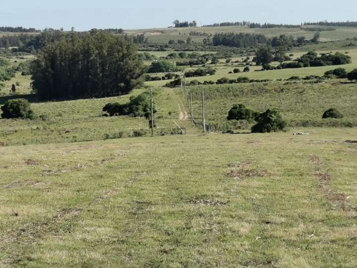 Granja en venta en Pan de Azúcar