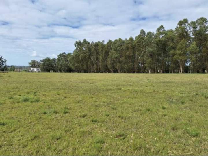 Granja en venta en Maldonado