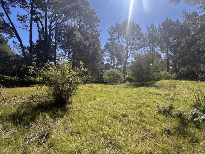 Terreno en venta en Pinares, Maldonado