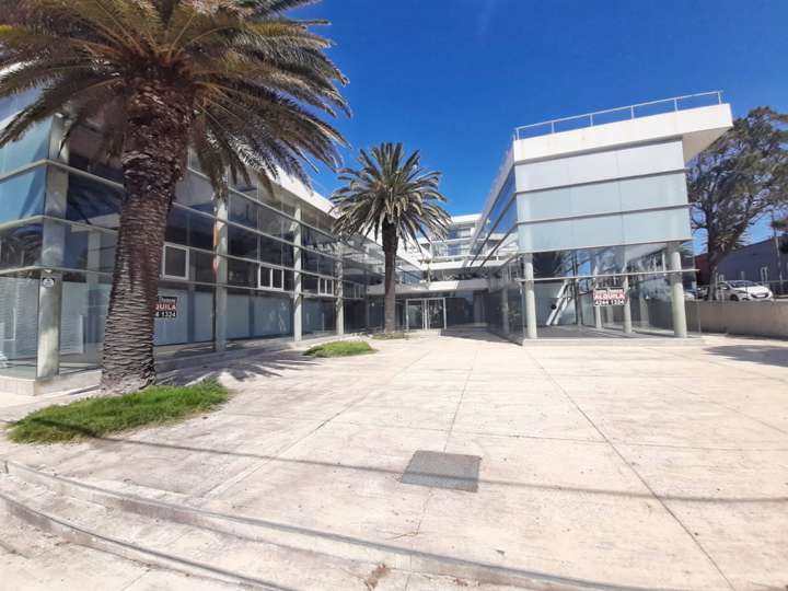 Comercial / Tienda en alquiler en 2 de Febrero (Calle 10), Punta Del Este