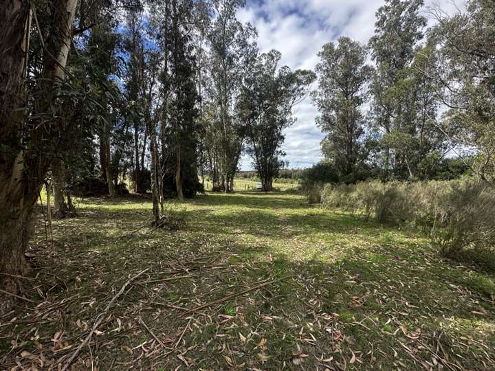 Granja en venta en Ruta 9 Coronel Leonardo Olivera, Maldonado