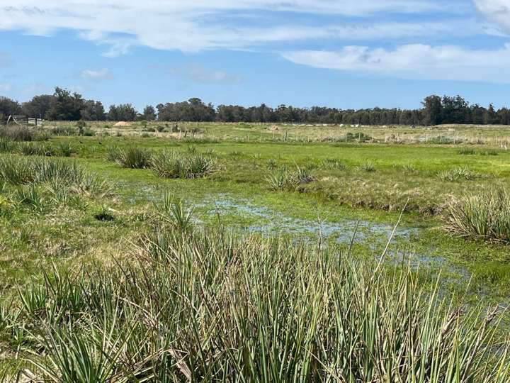 Granja en venta en Maldonado