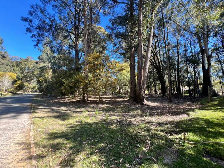 Terreno en venta en Punta Ballena