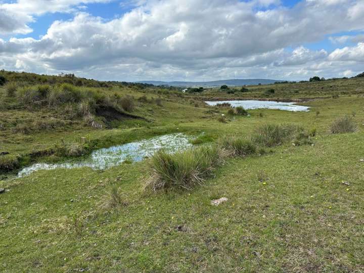 Granja en venta en Maldonado