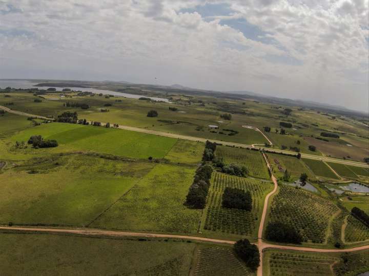 Granja en venta en Ruta 12 Doctor Luis Alberto de Herrera, Maldonado