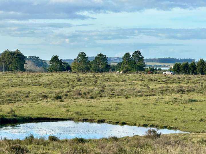 Granja en venta en Maldonado
