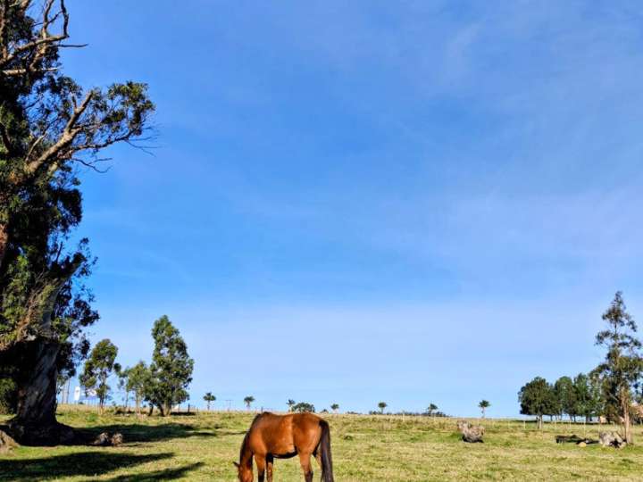 Granja en venta en Ruta Interbalnearia General Líber Seregni, Maldonado