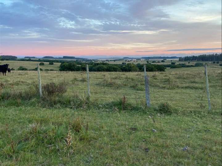 Granja en venta en Maldonado