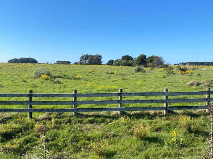 Granja en venta en Camino de la Rinconada, Maldonado