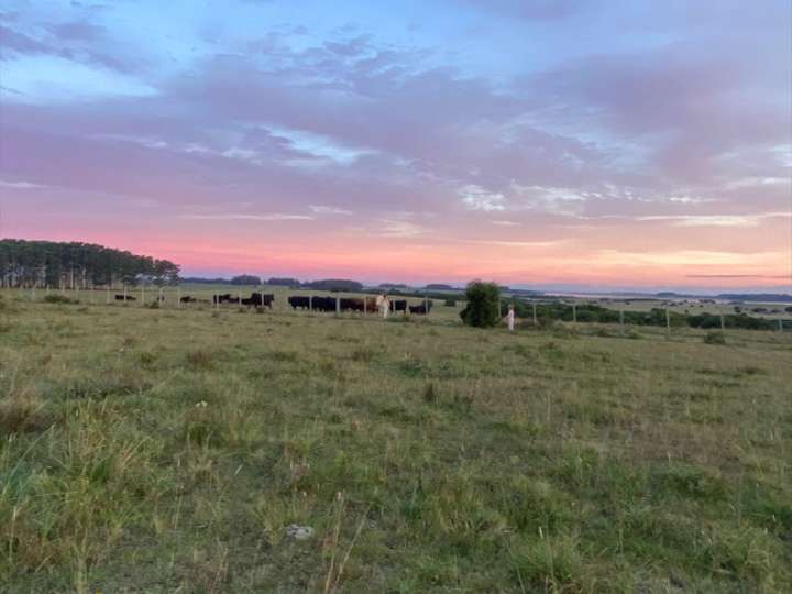 Granja en venta en Maldonado
