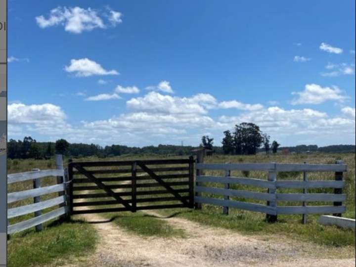 Granja en venta en Camino Medellín, Maldonado