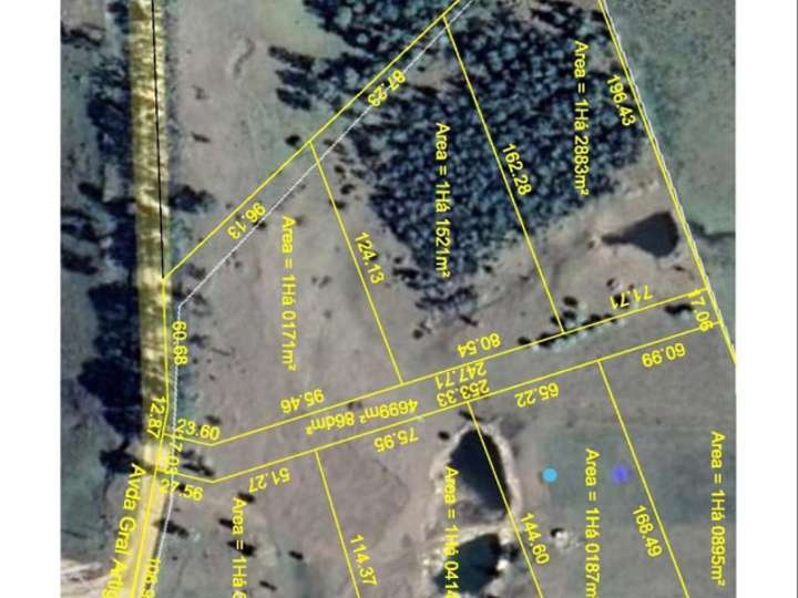 Granja en venta en Avenida General Artigas, Guichón