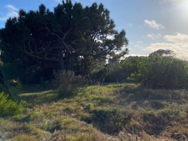 Terreno en venta en Píndaro, Maldonado