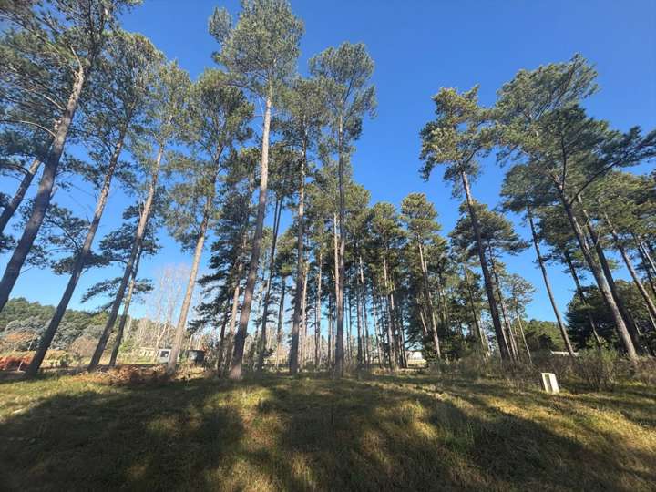 Terreno en venta en Cielo, Maldonado