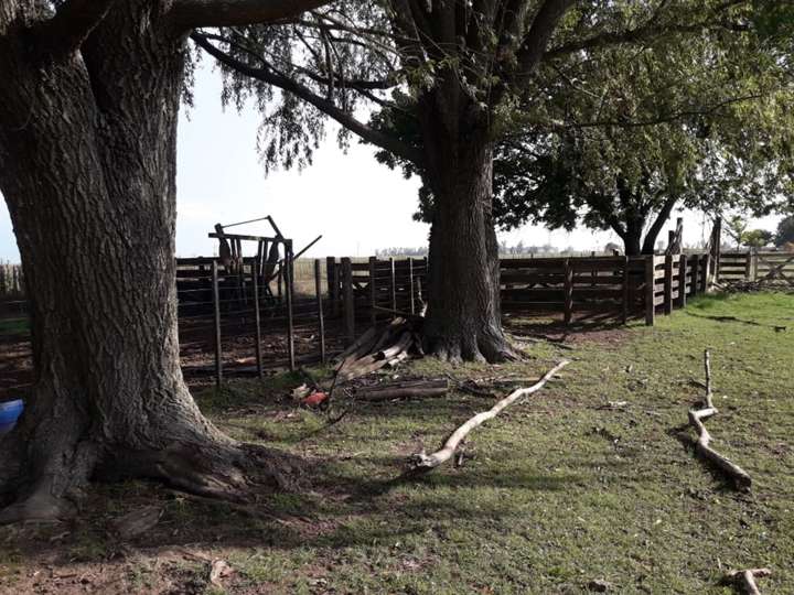 Terreno en venta en Ruta Provincial 59, Buenos Aires
