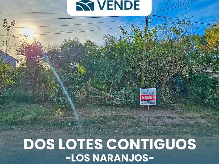 Terreno en venta en Los Naranjos, San José