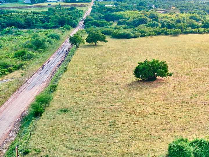 Terreno en venta en Avenida Bernardino C. Horn, San José