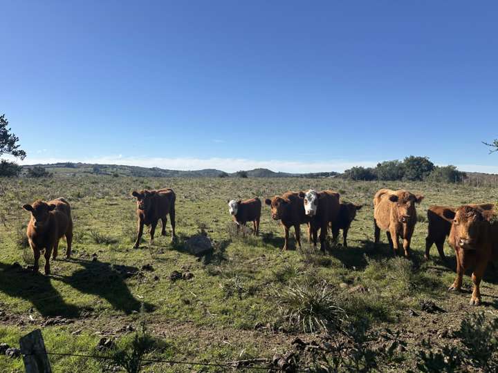 Granja en venta en Maldonado