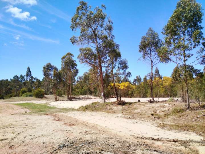 Terreno en venta en Calle 5, Rocha