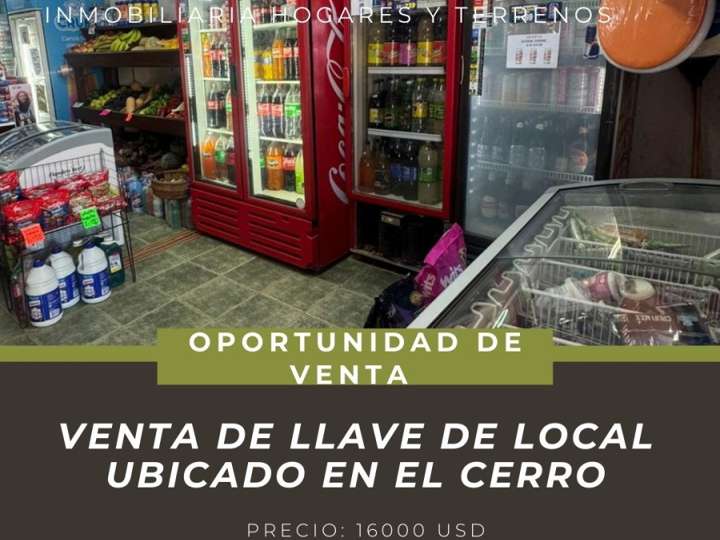 Comercial / Tienda en venta en Pilar Bastida, Montevideo
