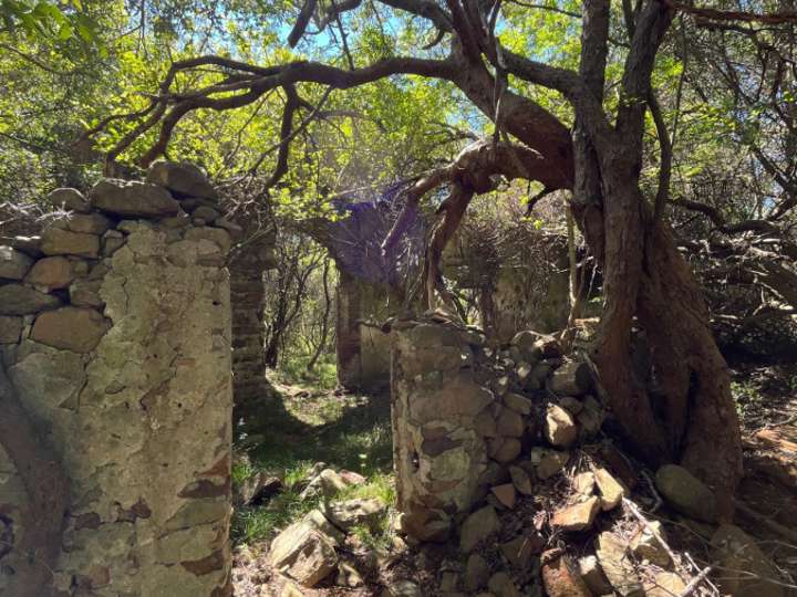 Granja en venta en Maldonado