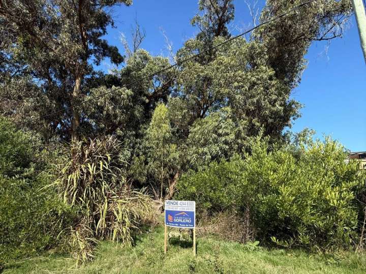 Terreno en venta en Maldonado