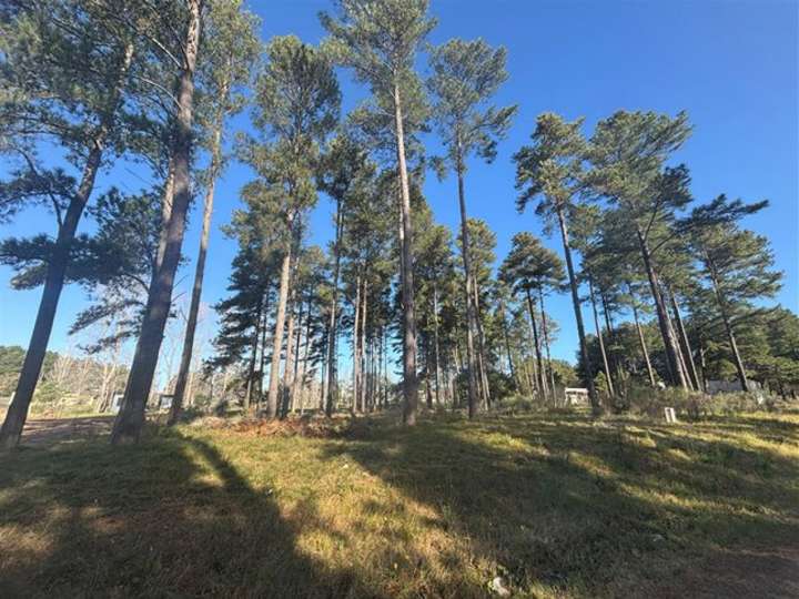 Terreno en venta en Juan Alberto Caracara, Maldonado