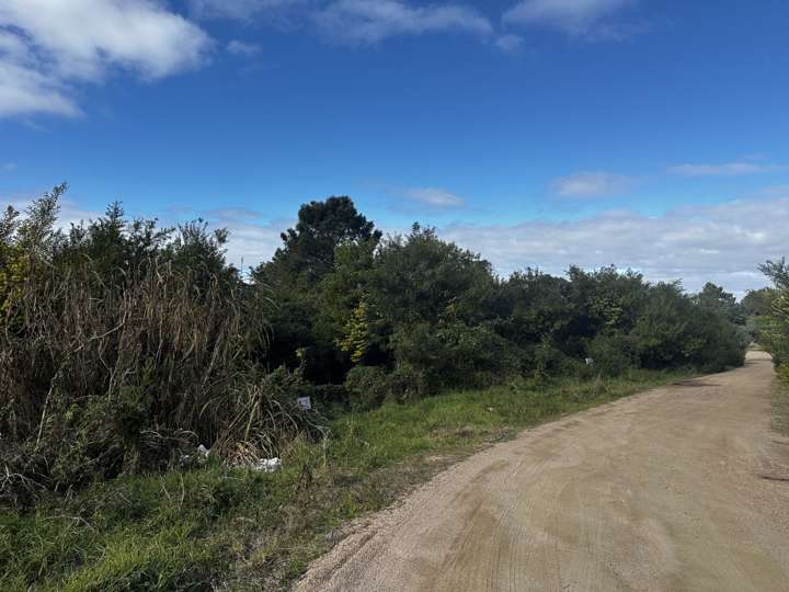 Terreno en venta en Punta Ballena