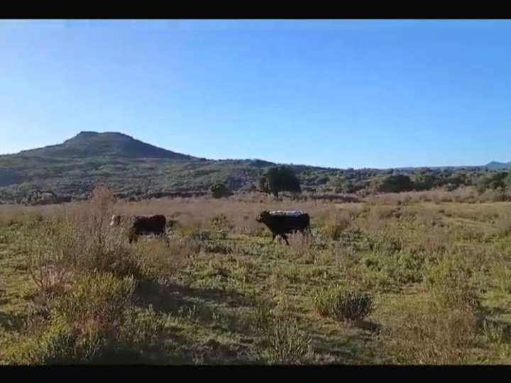 Granja en venta en Vecinal La Coronilla, Maldonado