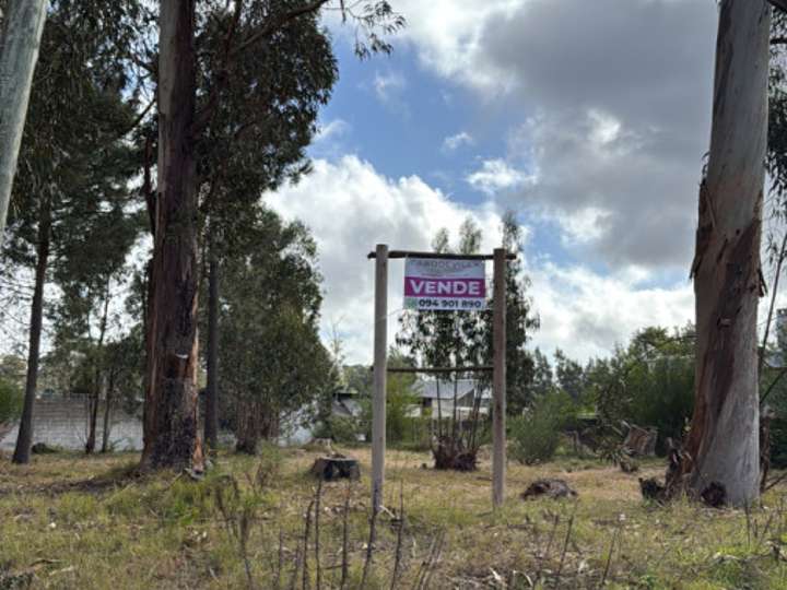 Terreno en venta en La Niña, Maldonado