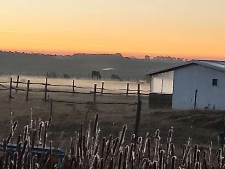 Granja en venta en Canelones