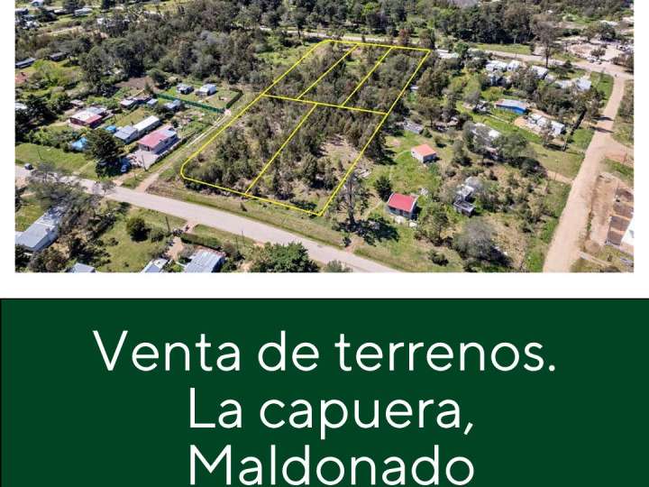 Terreno en venta en Avenida de los Cisnes, La Capuera