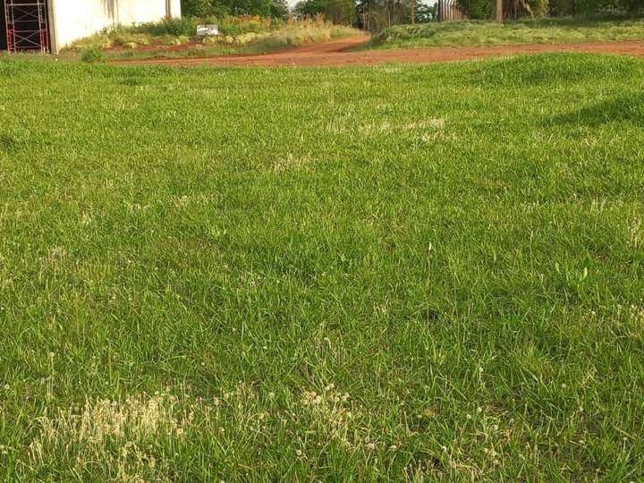 Terreno en venta en Avenida de Las Américas, 1301, Oberá