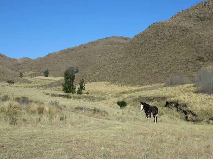 Terreno en venta en Coronel Pringles, San Luis